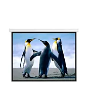 Anchor 135" Diagonal Electrical Projector Screen - ANMS135HD