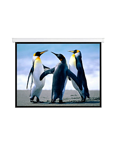 Anchor ANSCMR180HD 180-Inch Motorised Projector Screen