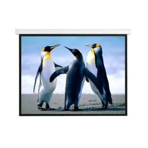 Anchor 92" Diagonal Electrical Projector Screen - ANMS92HDD
