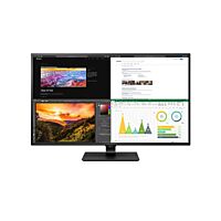 LG 43inch UHD 4K Monitor | LG UAE