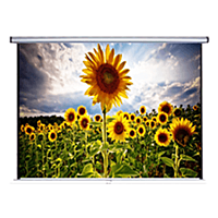 Anchor-160x160cm-Wall-Ceiling-Manual-Screen-ANSWM160