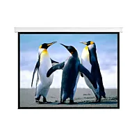 Anchor 110" Electric Projector Screen