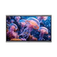 MAXHUB E7530 75-Inch 4K UHD Interactive Display