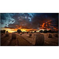 Samsung 55" VMT-U Ultra Narrow Bezel Video Wall