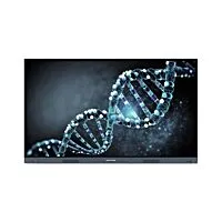 Specktron CDX-65i 65 inch 4k Interactive Display