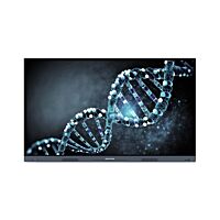 Specktron CDX-86i 86 inch Interactive Display