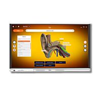 Trend Q 86 Inch 4K QLED Interactive Display – Android 13, AI Ready